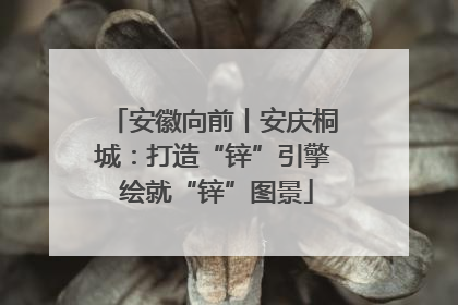 安徽向前丨安庆桐城：打造“锌”引擎 绘就“锌”图景