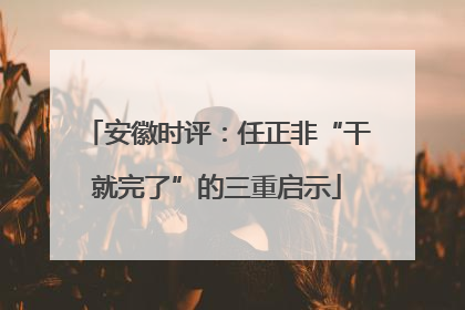 安徽时评：任正非“干就完了”的三重启示