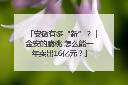 安徽有多“新”？｜金安的脆桃 怎么能一年卖出16亿元？