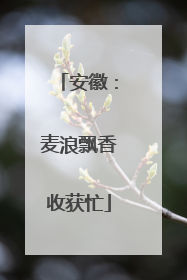 安徽：麦浪飘香收获忙
