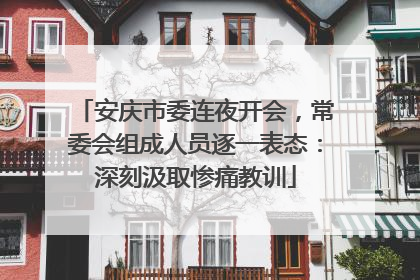 安庆市委连夜开会，常委会组成人员逐一表态：深刻汲取惨痛教训