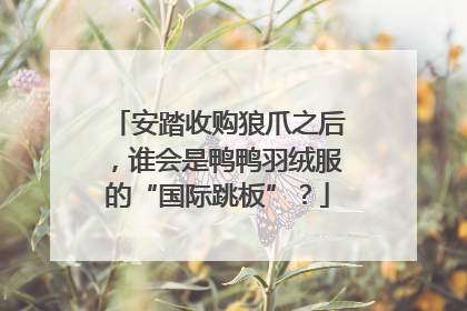 安踏收购狼爪之后，谁会是鸭鸭羽绒服的“国际跳板”？