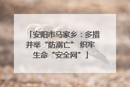安阳市马家乡：多措并举“防溺亡” 织牢生命“安全网”