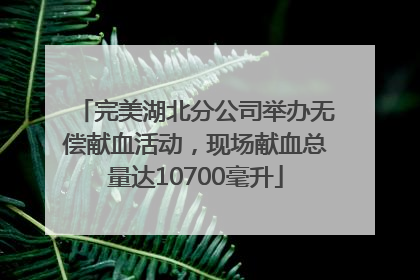 完美湖北分公司举办无偿献血活动，现场献血总量达10700毫升