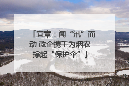 宜章：闻“汛”而动 政企携手为烟农撑起“保护伞”
