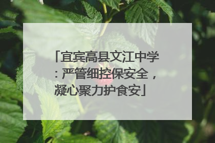 宜宾高县文江中学：严管细控保安全，凝心聚力护食安