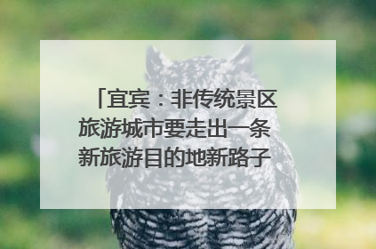 宜宾：非传统景区旅游城市要走出一条新旅游目的地新路子｜话锦绣·说安逸