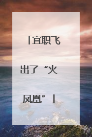 宜职飞出了“火凤凰”