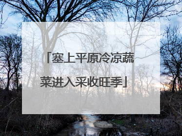 塞上平原冷凉蔬菜进入采收旺季