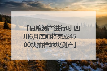 夏粮测产进行时 四川6月底前将完成4500块抽样地块测产