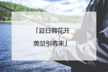夏日荷花开 美景引客来