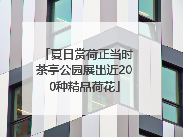 夏日赏荷正当时 茶亭公园展出近200种精品荷花
