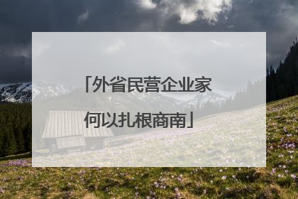 外省民营企业家何以扎根商南