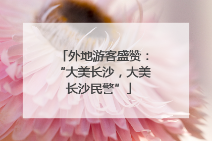 外地游客盛赞：“大美长沙，大美长沙民警”