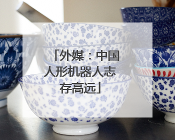 外媒：中国人形机器人志存高远