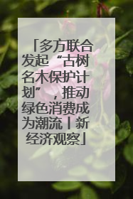 多方联合发起“古树名木保护计划”，推动绿色消费成为潮流丨新经济观察