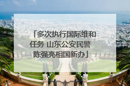 多次执行国际维和任务 山东公安民警陈强亮相国新办