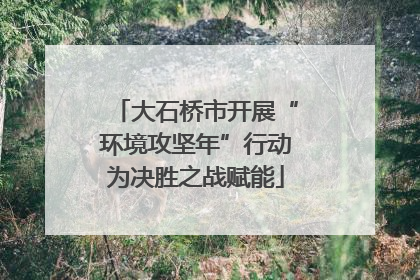 大石桥市开展“环境攻坚年”行动为决胜之战赋能