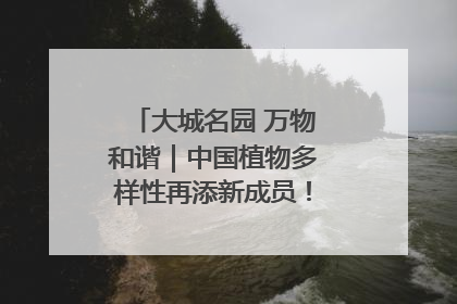 大城名园 万物和谐｜中国植物多样性再添新成员！它只在西藏墨脱