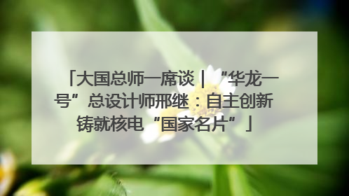 大国总师一席谈｜“华龙一号”总设计师邢继：自主创新铸就核电“国家名片”