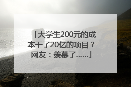 大学生200元的成本干了20亿的项目？网友：羡慕了……
