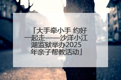 大手牵小手 约好一起走——沙洋小江湖监狱举办2025年亲子帮教活动