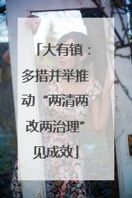 大有镇：多措并举推动“两清两改两治理”见成效