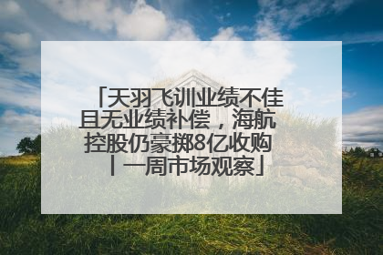 天羽飞训业绩不佳且无业绩补偿，海航控股仍豪掷8亿收购丨一周市场观察