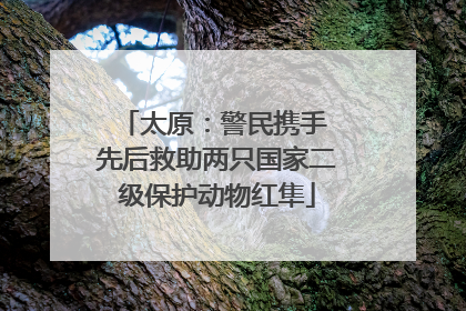 太原：警民携手 先后救助两只国家二级保护动物红隼