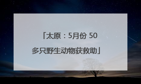 太原：5月份 50多只野生动物获救助