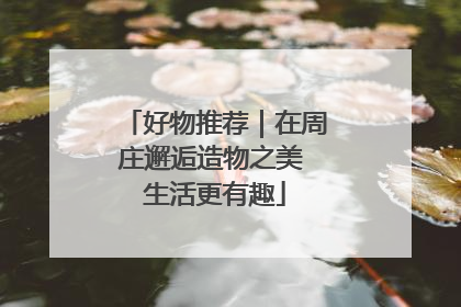 好物推荐｜在周庄邂逅造物之美 生活更有趣