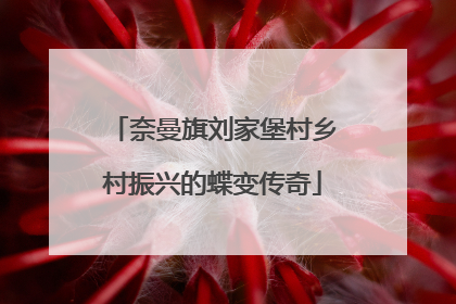 奈曼旗刘家堡村乡村振兴的蝶变传奇