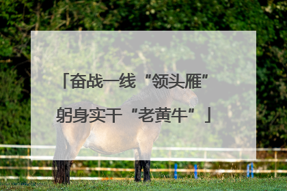 奋战一线“领头雁” 躬身实干“老黄牛”