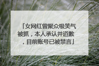 女网红曾聚众吸笑气被抓，本人承认并道歉，目前账号已被禁言