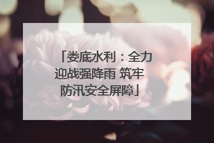 娄底水利：全力迎战强降雨 筑牢防汛安全屏障