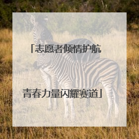 志愿者倾情护航 青春力量闪耀赛道