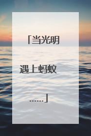 当光明遇上蚂蚁……