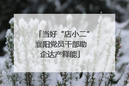 当好“店小二” 襄阳党员干部助企达产释能