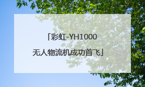 彩虹-YH1000无人物流机成功首飞