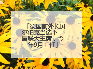 德国前外长贝尔伯克当选下一届联大主席，今年9月上任