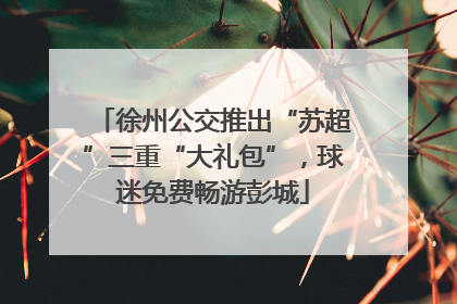 徐州公交推出“苏超”三重“大礼包”，球迷免费畅游彭城