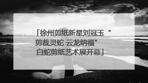 徐州剪纸新星刘冠玉“剪裁灵蛇 云龙纳福” 白蛇剪纸艺术展开幕