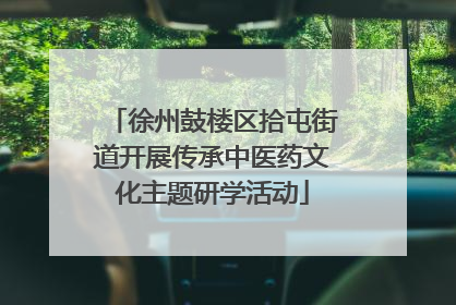 徐州鼓楼区拾屯街道开展传承中医药文化主题研学活动