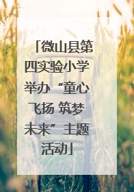 微山县第四实验小学举办“童心飞扬 筑梦未来”主题活动
