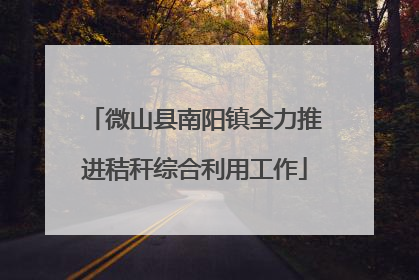 微山县南阳镇全力推进秸秆综合利用工作