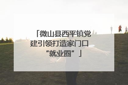 微山县西平镇党建引领打造家门口“就业圈”