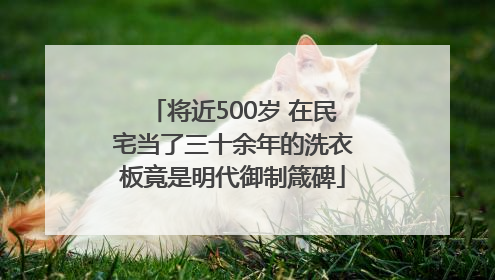将近500岁 在民宅当了三十余年的洗衣板竟是明代御制箴碑