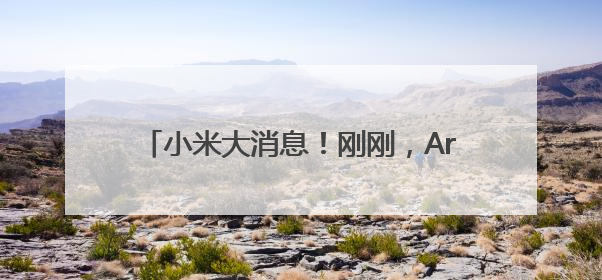 小米大消息！刚刚，Arm官方认证：玄戒O1芯片由小米自主研发！雷军此前称已开始大规模量产