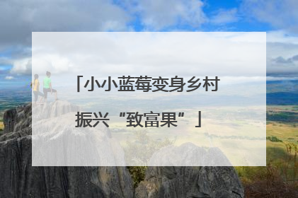 小小蓝莓变身乡村振兴“致富果”