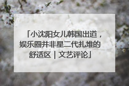 小沈阳女儿韩国出道，娱乐圈并非星二代扎堆的舒适区｜文艺评论